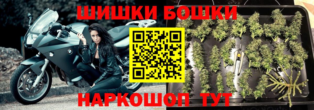 Конопля гибрид Лесной